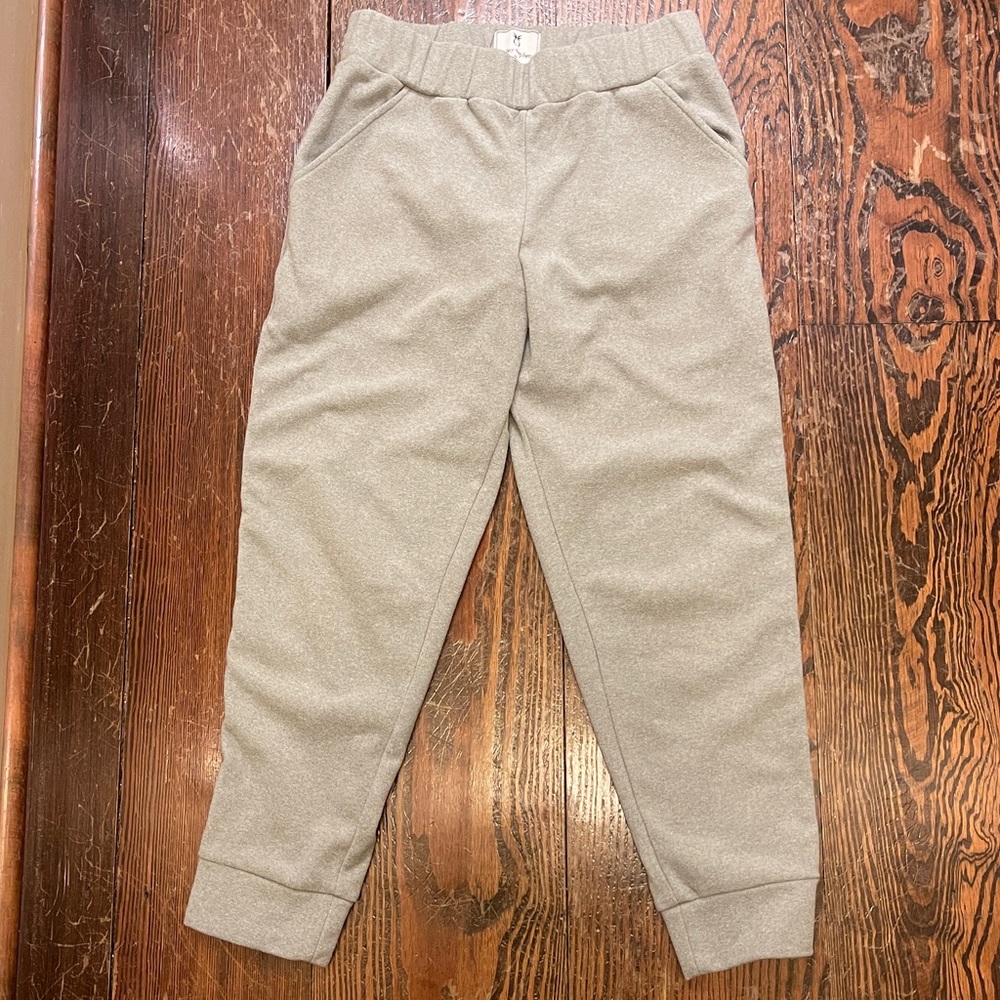 🔥SALE🔥EUC Dudley Stephens Jay Joggers in grey terry fleece